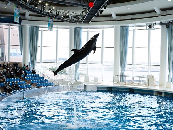 ■【茨城】スペシャルバックヤードツアー★アクアワールド茨城県大洗水族館「バックヤード探検クイズツアー」&宙に浮かぶ!?空中いちご園でいちご狩り食べ放題♪2
